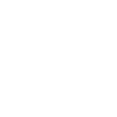 Velidhoo logo
